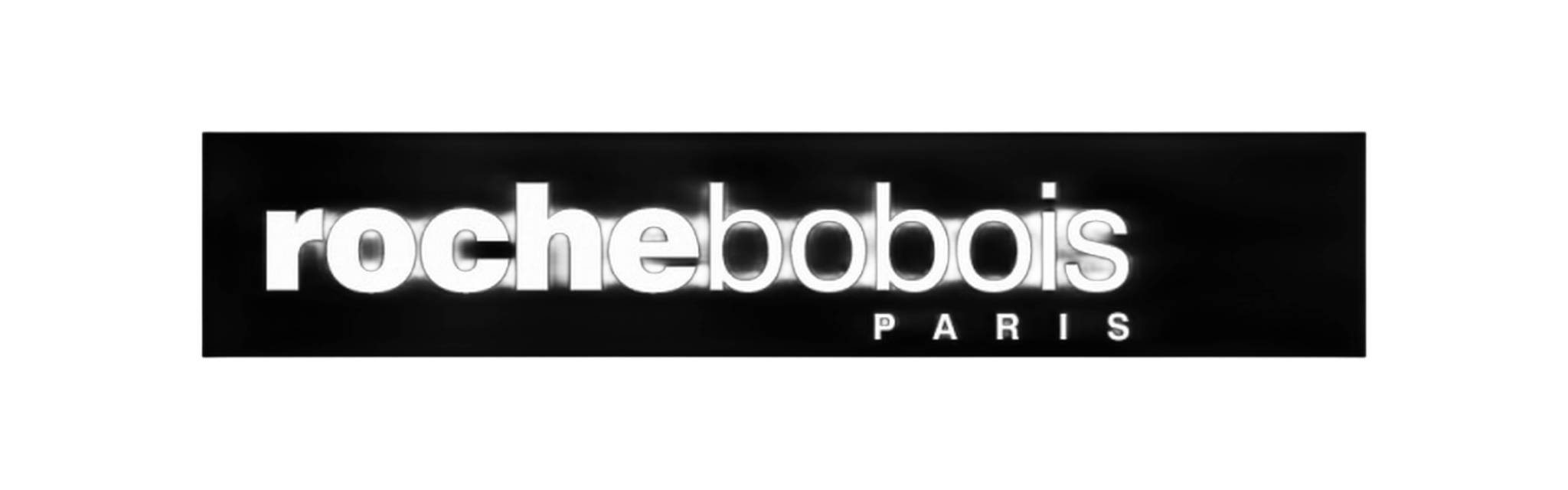 Company Logo 2